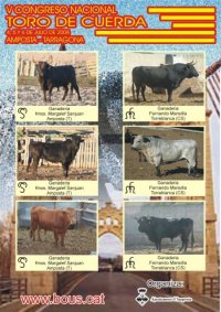 El cartel de los toros